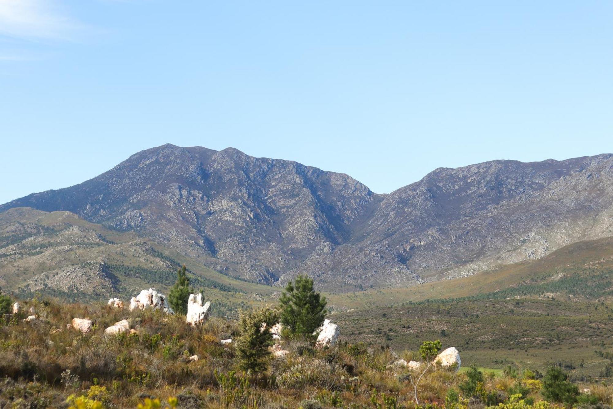 Avani Lodge Private Nature Reserve Botrivier Exteriör bild